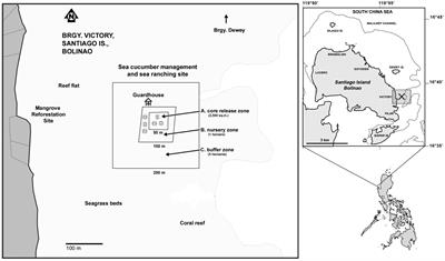 Evolving governance structures in community-based sandfish mariculture and their interactions with livelihood outcomes: Evidence from the Philippines